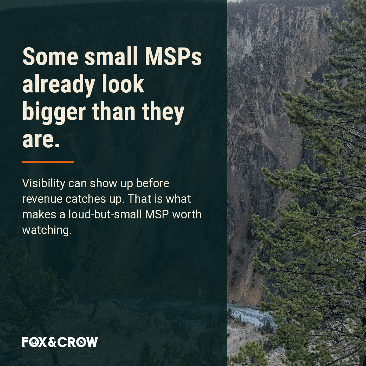 Quote: Ian Richardson on loud-but-small MSPs and visibility