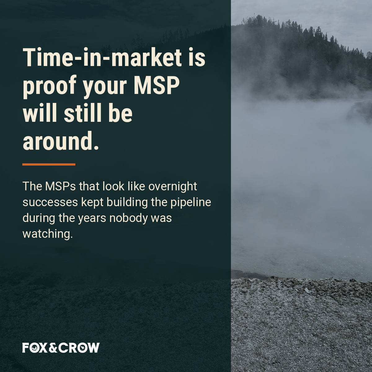 msp-growth-takes-time image 02