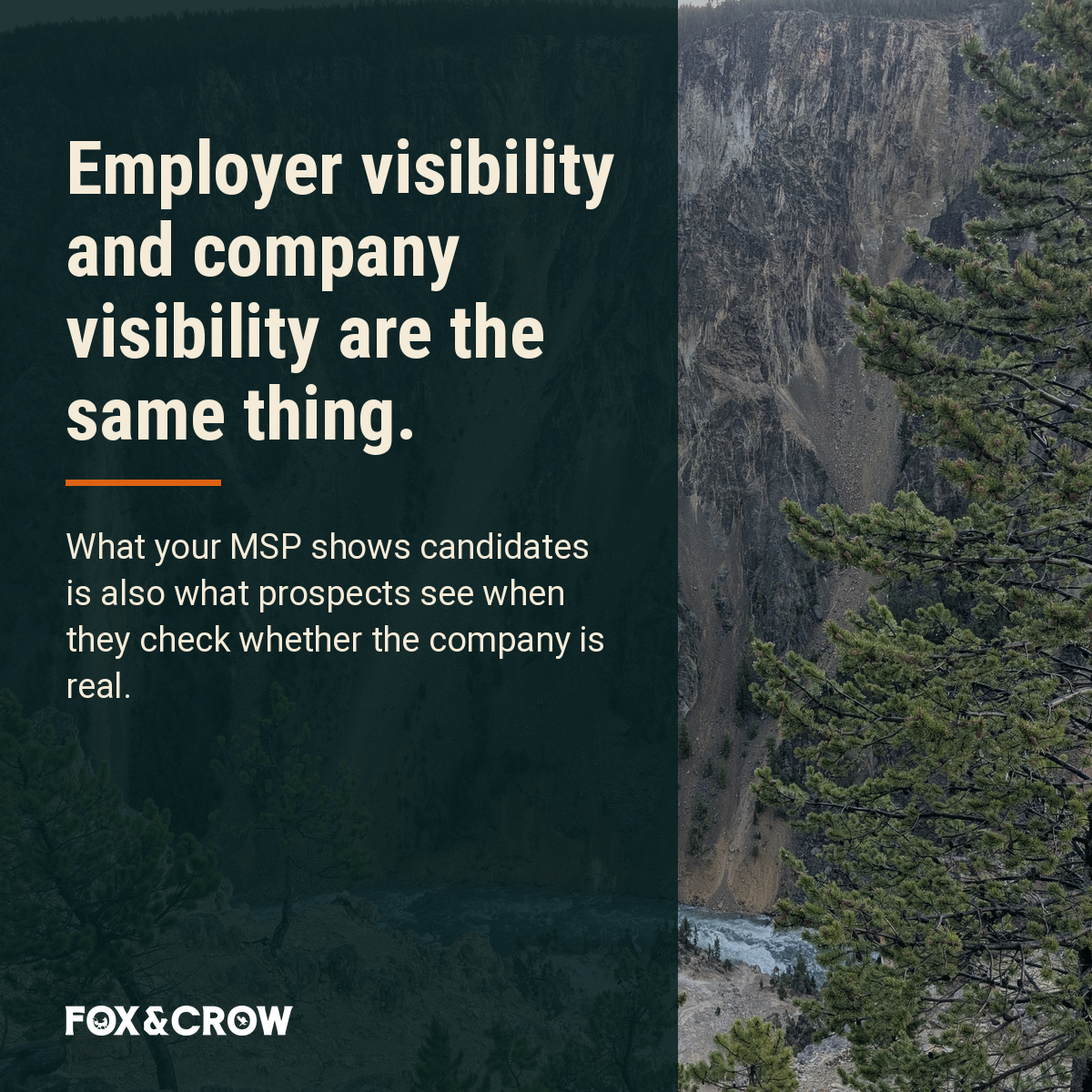 msp-hiring-growth-signal image 03