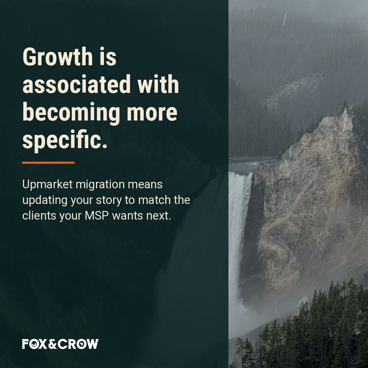 msp-upmarket-growth-strategy image 03