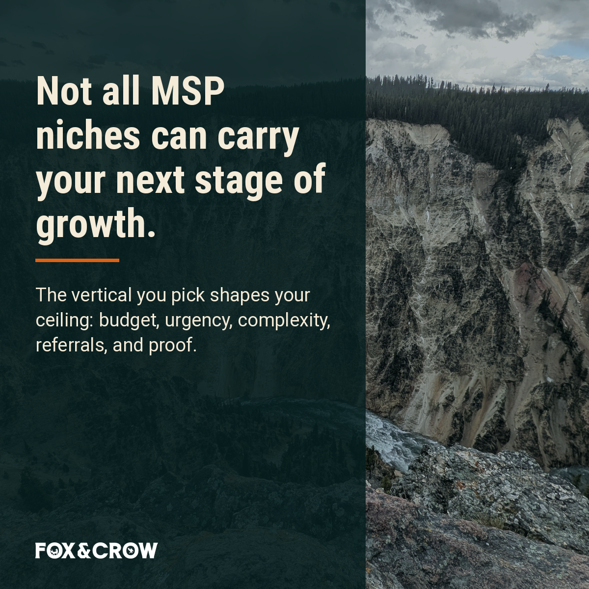 Quote: Ian Richardson on MSP vertical niche strategy