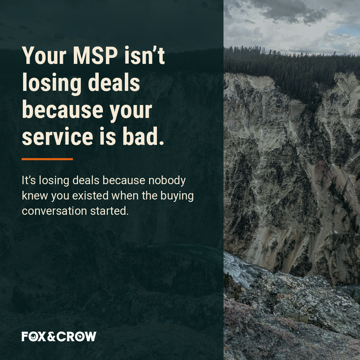 msp-visibility-growth image 02