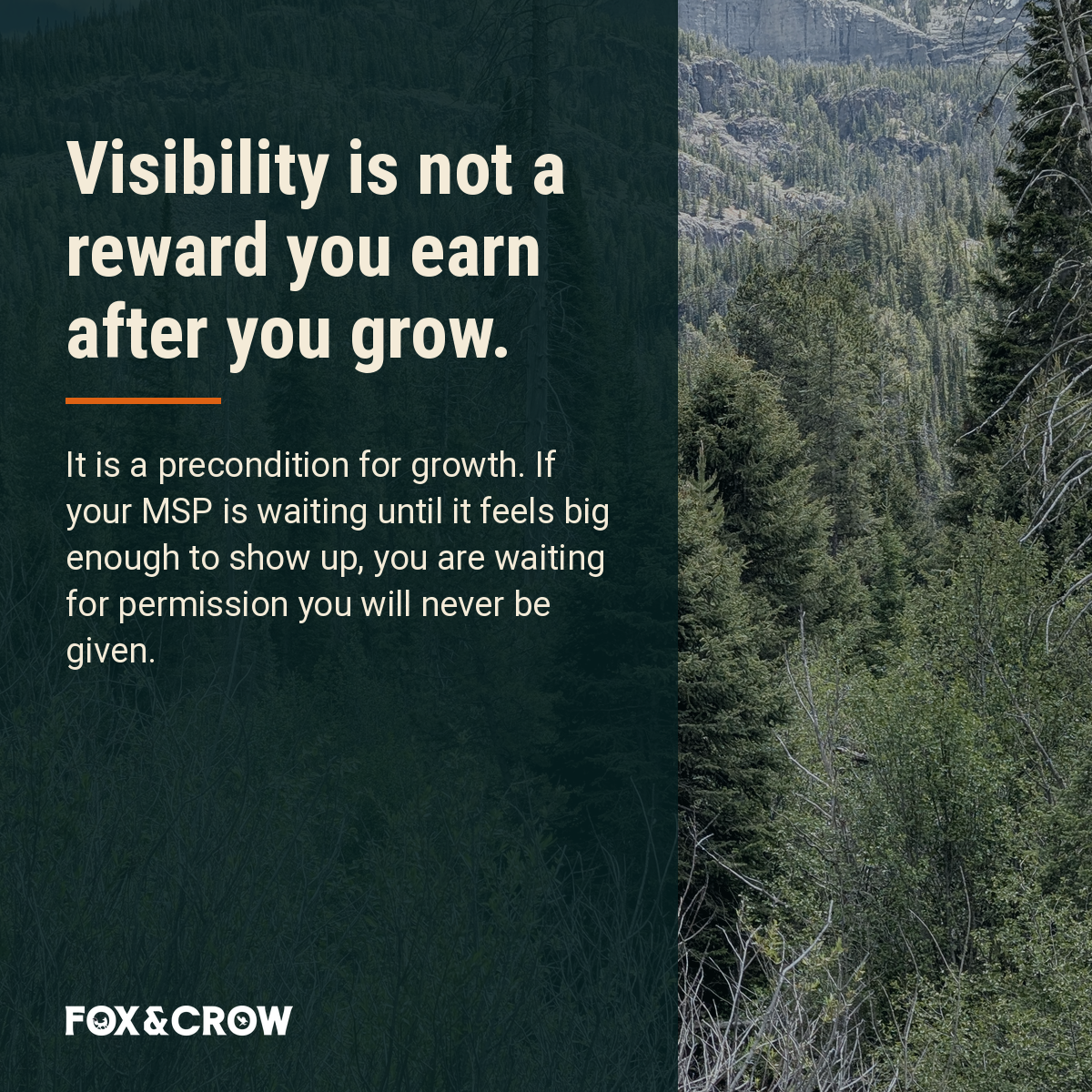 msp-visibility-growth image 03
