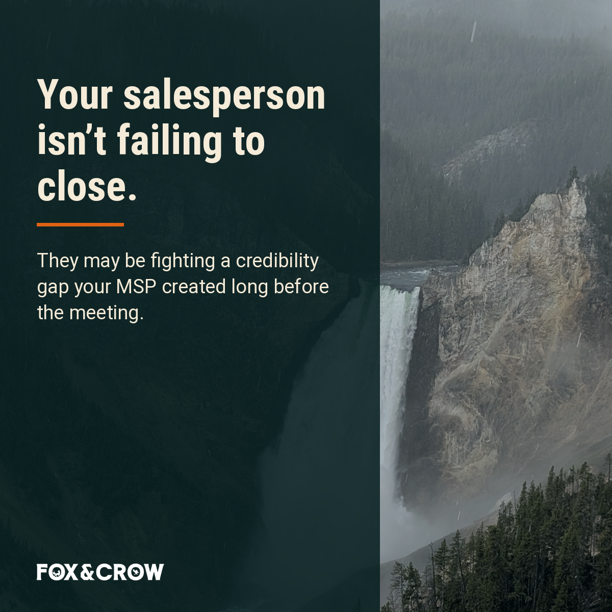 msp-visibility-growth image 04